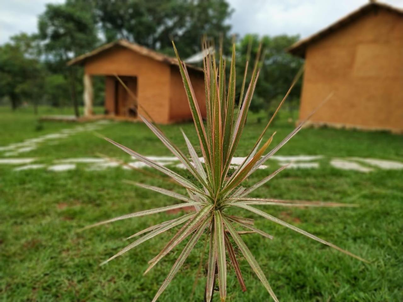 Recanto Do Baru Pirenópolis Exteriör bild