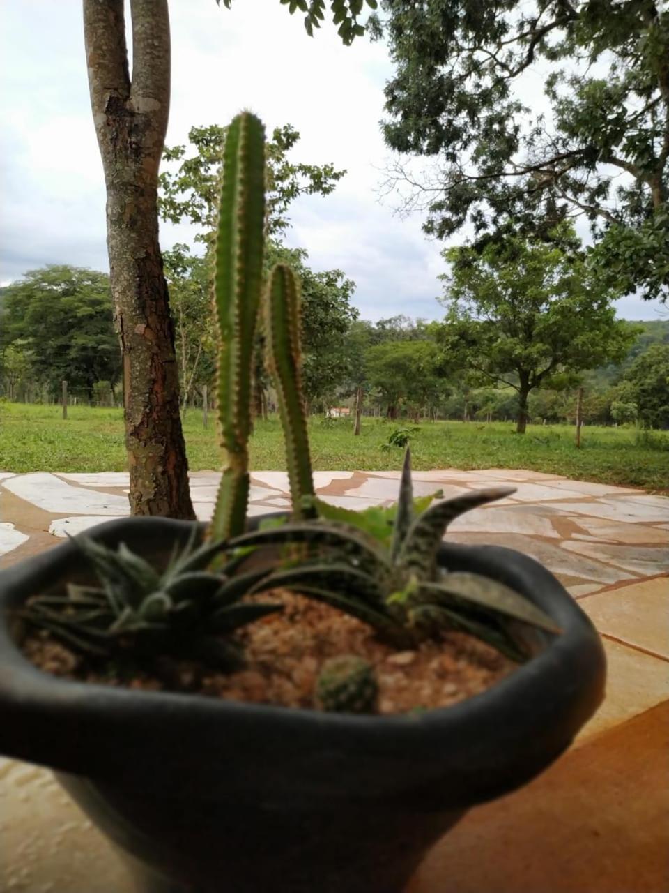 Recanto Do Baru Pirenópolis Exteriör bild